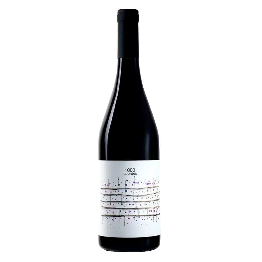 1000 ACORDES