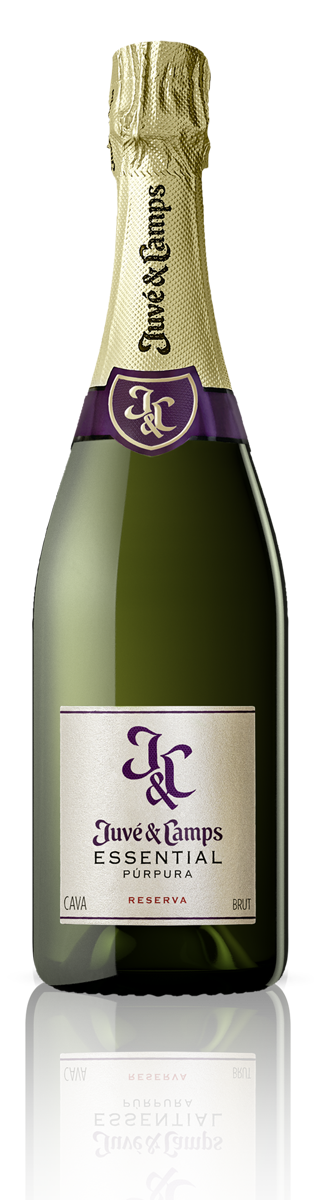 Cava Juve Camps Cinta Purpura