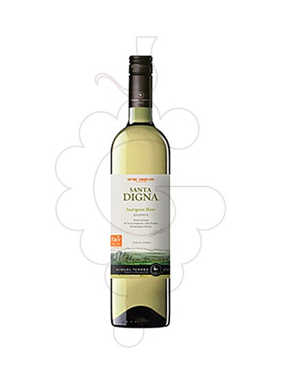 SANTA DIGNA SAUVIGNON BLANC